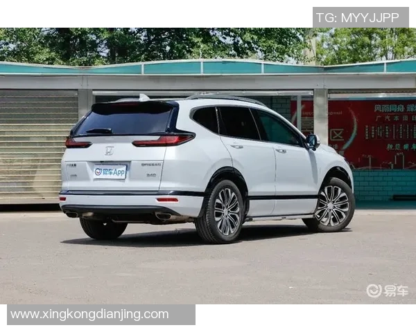 揭秘王强成功之路探讨CSGO背后的策略与团队精神 揭秘王强成功之路探讨CSGO背后的策略与团队精神