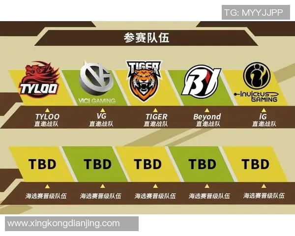 esports数据黄芳畅谈CSGO职业生涯背后的故事与挑战